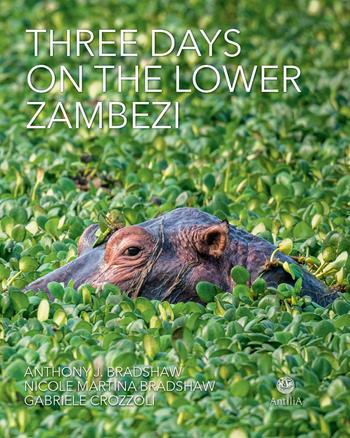 Three days on the lower Zambezi. Ediz. illustrata - Anthony J. Bradshaw, Gabriele Crozzoli, Nicole Martina Bradshaw - Libro Antilia 2020 | Libraccio.it