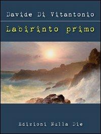 Labirinto primo - Davide Di Vitantonio - Libro Nulla Die 2012, Ventitrenta. Poesia | Libraccio.it