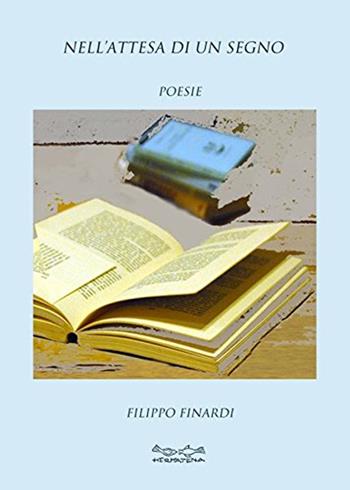 Nell'attesa di un segno - Filippo Finardi - Libro Museodei by Hermatena 2015, Fuori collana | Libraccio.it