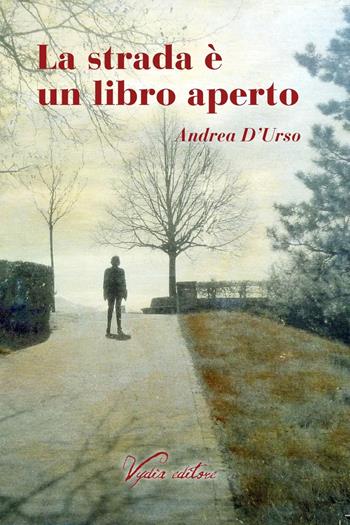 La strada è un libro aperto - Andrea D'Urso - Libro Vydia Editore 2019, I veli | Libraccio.it