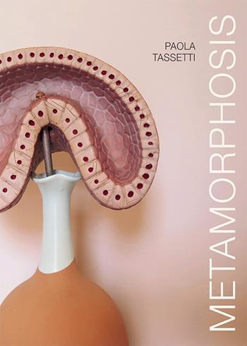 Paola Tassetti. Metamorphosis. Ediz. italiana e inglese - Paola Ballesi - Libro Vydia Editore 2022 | Libraccio.it
