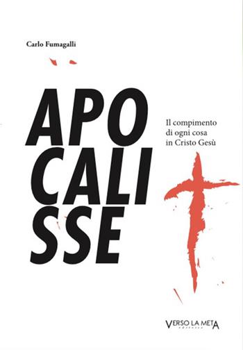 Apocalisse. Il compimento di ogni cosa in Cristo Gesù - Carla Fumagalli - Libro Verso la Meta 2019 | Libraccio.it