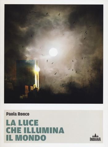 La luce che illumina il mondo - Paola Ronco - Libro Indiana 2013, I lucci | Libraccio.it