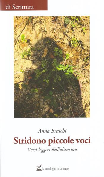 Stridono piccole voci - Anna Braschi - Libro La Conchiglia di Santiago 2022, Di scrittura | Libraccio.it