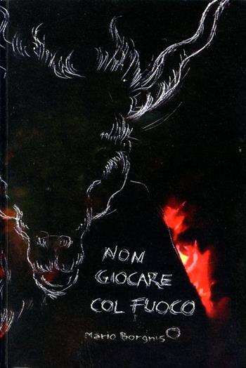 Non giocare col fuoco - Mario Borgnis - Libro Il Rosso e Il Blu 2015, Altre pubblicazioni | Libraccio.it