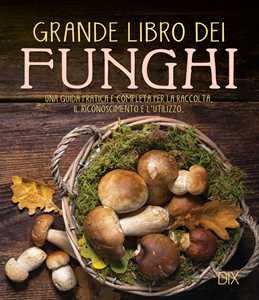 Image of Grande libro dei funghi. Una guida pratica e completa per la racc...