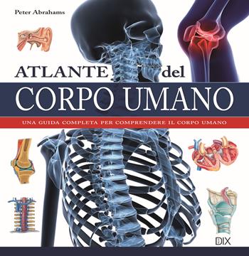 Atlante del corpo umano - Peter Abrahams - Libro Dix 2020, Varia illustrata | Libraccio.it