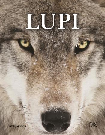 Lupi. Ediz. a colori - Tom Jackson - Libro Dix 2022, Varia illustrata | Libraccio.it