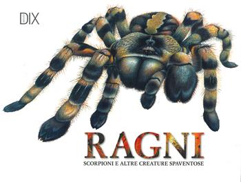 Ragni, scorpioni e altre creature spaventose. Ediz. illustrata - Claudia Martin - Libro Dix 2024 | Libraccio.it