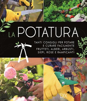 La potatura. Tanti consigli per potare e curare facilmente frutteti, alberi, arbusti, siepi, rose e rampicanti - Richard Bird - Libro Dix 2023 | Libraccio.it
