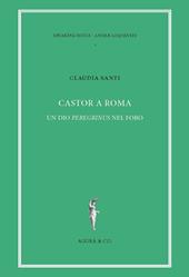 Castor a Roma. Un Dio Pereginus nel foro