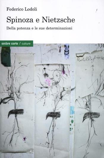 Spinoza e Nietzsche. Della potenza e le sue determinazioni - Federico Lodoli - Libro Ombre Corte 2012, Culture | Libraccio.it
