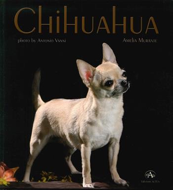 Chihuahua - Amelia Murante - Libro Edizioni Altea 2015 | Libraccio.it
