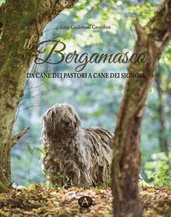 Il bergamasco. Da cane dei pastori a cane dei signori - Luigi Guidobono Cavalchini - Libro Edizioni Altea 2020 | Libraccio.it
