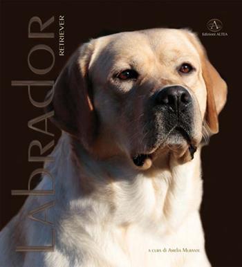 Labrador Retriver. Monografia fotografica. Ediz. illustrata - Amelia Murante - Libro Edizioni Altea 2019 | Libraccio.it
