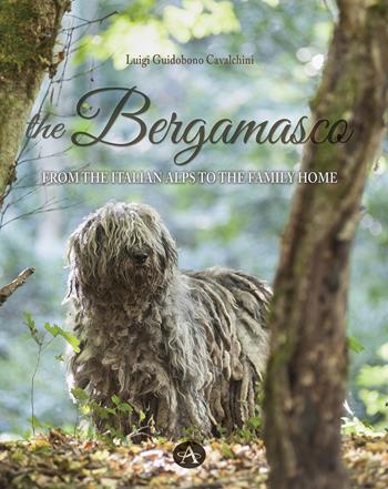 The bergamasco. From the Italian Alps to the family home - Luigi Guidobono Cavalchini - Libro Edizioni Altea 2023 | Libraccio.it