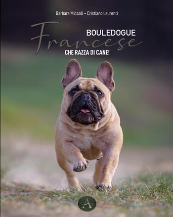 Bouledogue francese. Che razza di cane! - Barbara Miccoli, Cristiano Laurenti - Libro Edizioni Altea 2025 | Libraccio.it