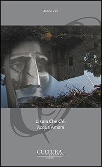 L' isola che c'è. Acqua amara  - Libro Cultura e Dintorni 2014, I narratori del nostro tempo | Libraccio.it