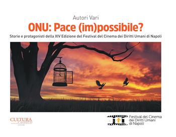 ONU: Pace (im)possibile? Storie e protagonisti della XIV Edizione del Festival del Cinema dei Diritti Umani di Napoli  - Libro Cultura e Dintorni 2023 | Libraccio.it