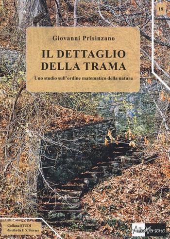 Il dettaglio della trama. Uno studio sull'ordine matematico della natura - Giovanni Prisinzano - Libro AlboVersorio 2013, Studi | Libraccio.it