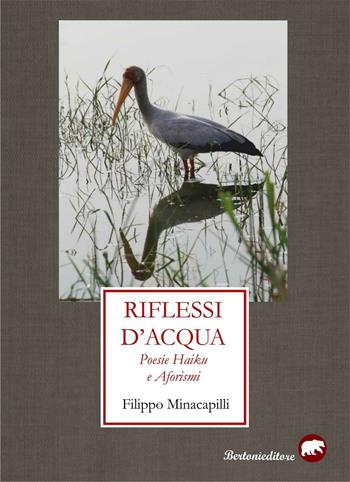 Riflessi d'acqua. Poesie haiku e aforismi - Filippo Minacapilli - Libro Bertoni Editore 2016 | Libraccio.it