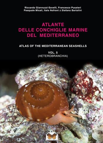 Atlante delle conchiglie marine del Mediterraneo. Ediz. italiana e inglese. Vol. 5  - Libro Edizioni Danaus 2014 | Libraccio.it