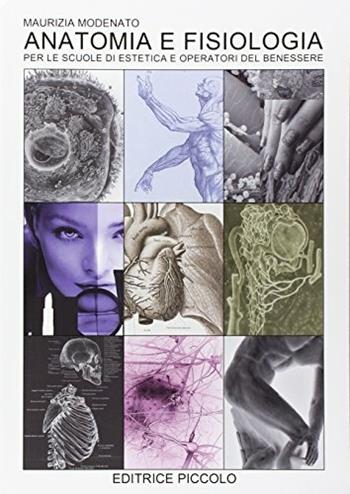 Anatomia e fisiologia  - Libro Piccolo (Padova) 2012 | Libraccio.it