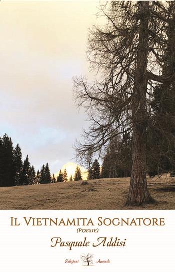 Il vietnamita sognatore - Pasquale Addisi - Libro Amande 2017 | Libraccio.it