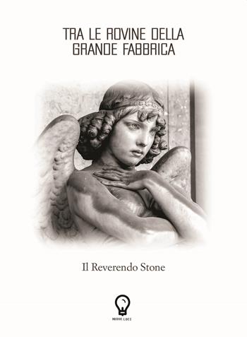 Tra le rovine della grande fabbrica. Il Reverendo Stone - Fabio Bet - Libro Amande 2019, Nuove luci | Libraccio.it