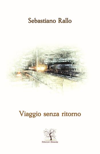 Viaggio senza ritorno - Sebastiano Rallo - Libro Amande 2021, Nuove luci | Libraccio.it