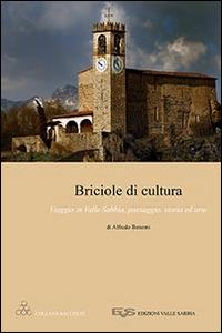 Briciole di cultura. Viaggio in valle Sabbia, paesaggio, storia ed arte - Alfredo Bonomi - Libro Valle Sabbia 2014, Raccolte | Libraccio.it