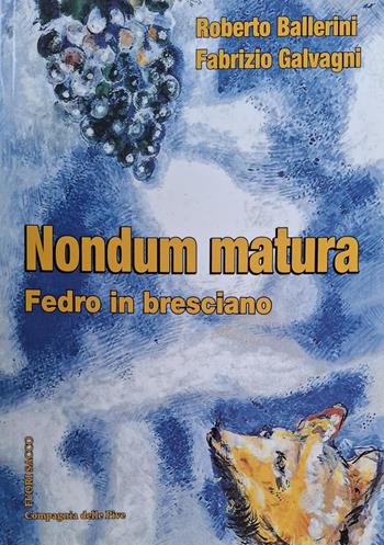 Nondum matura. Fedro in bresciano - Roberto Ballerini, Fabrizio Galvagni - Libro Valle Sabbia 2021 | Libraccio.it