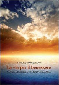 La via per il benessere. Come scegliere la strada migliore - Sandro Napolitano - Libro Galassia Arte 2013, Riuscire | Libraccio.it