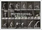 Eadweard Muybridge. Muybridge recall. Catalogo della mostra (Milano, 19 maggio-1 ottobre 2016). Ediz. multilingue
