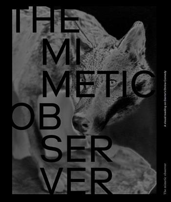 The Mimetic Observer. Immaginari della Divina Commedia di Dante. Ediz. multilingue - Giulio Ferroni, Carlotta Valente, Joaquin Paredes - Libro Viaindustriae 2023 | Libraccio.it