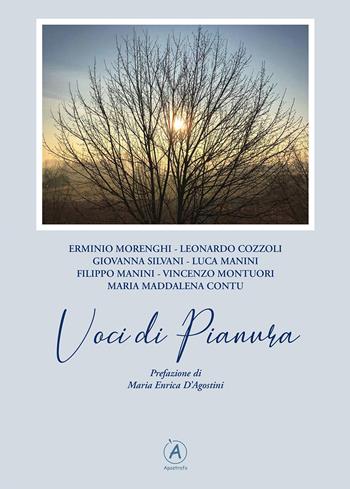 Voci di pianura  - Libro Apostrofo 2019 | Libraccio.it