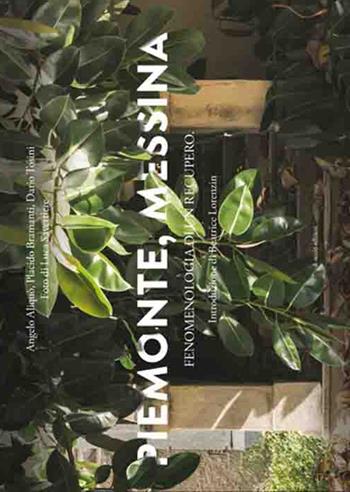 Piemonte, Messina. Fenomenologia di un recupero - Angelo Aliquò, Placido Bramanti, Dario Tosini - Libro Di Nicolò Edizioni 2017 | Libraccio.it