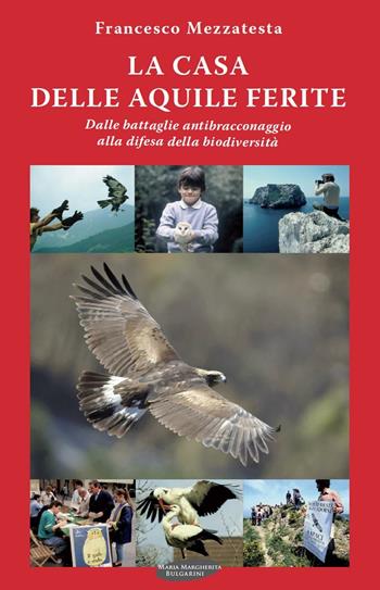 La casa delle aquile ferite. Dalle battaglie antibracconaggio alla difesa della biodiversità - Francesco Mezzatesta - Libro Maria Margherita Bulgarini 2014, Animali | Libraccio.it