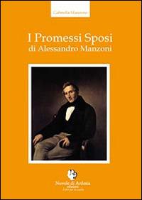 I Promessi Sposi di Alessandro manzoni - Gabriella Masotino - Libro Nuvole di Ardesia 2014 | Libraccio.it