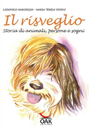 Il risveglio. Storia di animali, persone e sogni. Ediz. illustrata - Lodovico Marchisio, Maria Teresa Vivino - Libro OAK Editions 2012, Narrativa per ragazzi | Libraccio.it