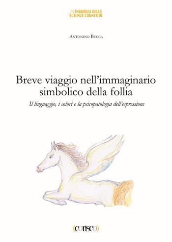 Breve viaggio nell'immaginario simbolico della follia. Il linguaggio i colori e la psicopatologia dell'espressione - Antonino Bucca - Libro CORISCO 2015 | Libraccio.it