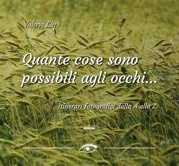 Quante cose sono possibili agli occhi... Itinerari fotografici dalla A alla Z. Ediz. illustrata - Valerio Lupi - Libro Laurum 2021 | Libraccio.it