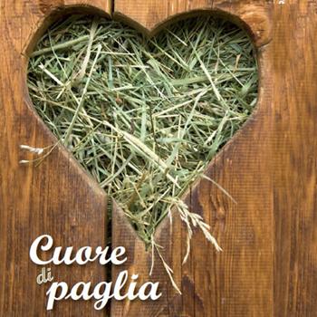 Cuore di paglia - Maria Antonietta Paglialunga - Libro Librosi 2014 | Libraccio.it