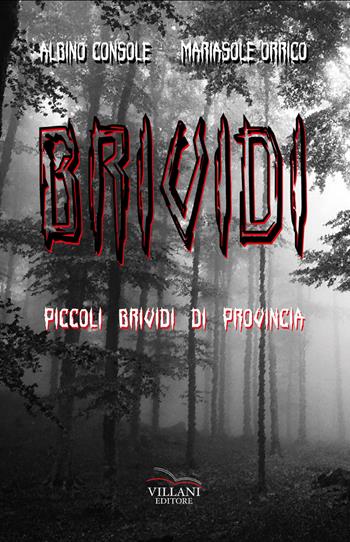 Brividi. Piccoli brividi di provincia - Albino Console, Mariasole Orrico - Libro Villani Libri 2019, Varia | Libraccio.it