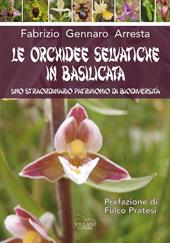 Le orchidee selvatiche in Basilicata