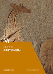 Museo Castiglioni. Guida