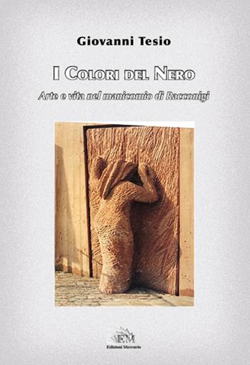 I colori del nero. Arte e vita nel manicomio di Racconigi - Giovanni Tesio - Libro Mercurio 2019 | Libraccio.it