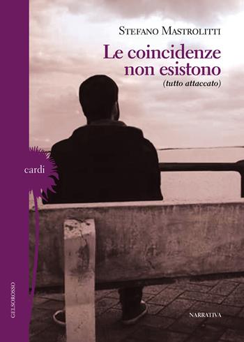 Le coincidenze non esistono (tutto attaccato) - Stefano Mastrolitti - Libro Gelsorosso 2017, Cardi | Libraccio.it