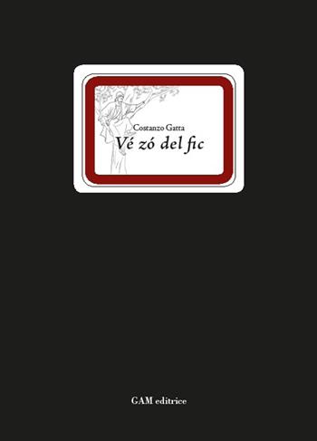 Vé zó del fic - Costanzo Gatta - Libro Gam Editrice 2016, I Lugarì | Libraccio.it