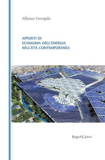 Appunti di economia dell'energia nell'età contemporanea - Alfonso Ferrajolo - Libro Brignoli Edizioni 2015, I saperi | Libraccio.it